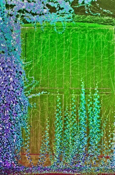 I 036B